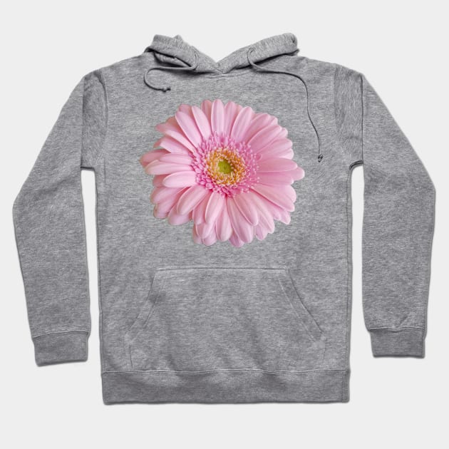 Pink Gerbera Floral Photo Hoodie by ellenhenryart